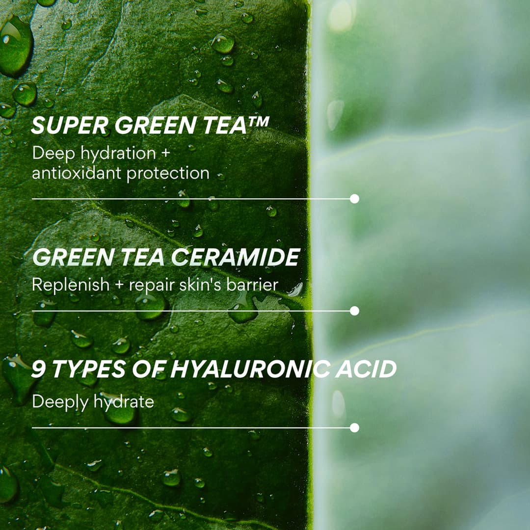 INNISFREE GREEN TEA CERAMIDE MILK BARRIER ESSENCE -